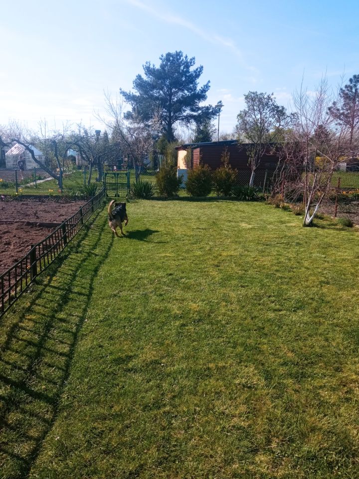 Działka rod Oleśnica, ul. Wileńska. Zdjęcie 10