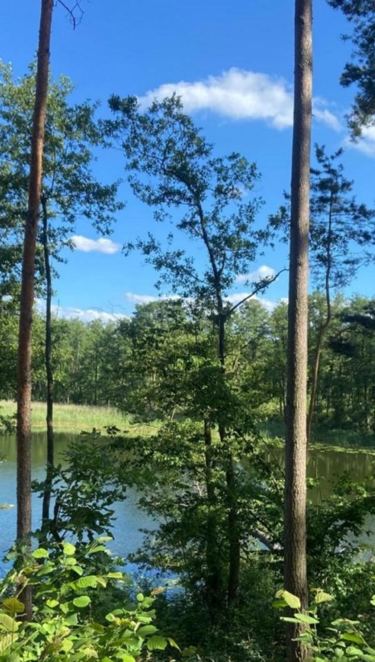 Działka rolno-budowlana Wiele, Brak. Zdjęcie 9