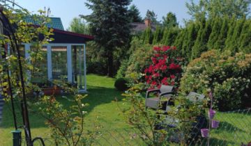 Działka rod Warzenko, ul. Nad Stawem