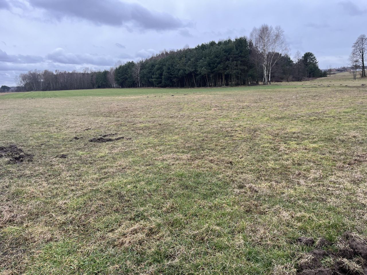 Działka rolno-budowlana Lasomin. Zdjęcie 5