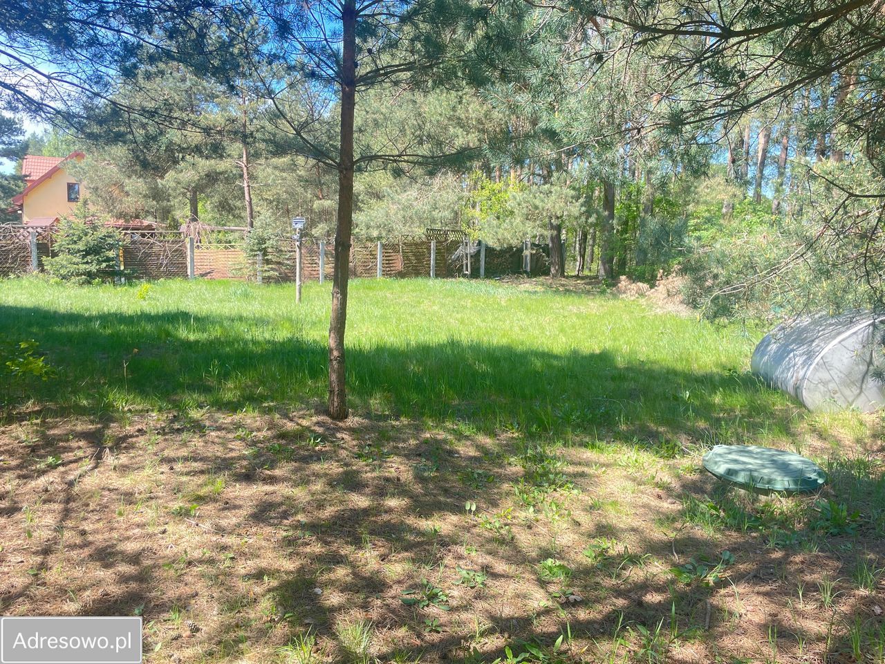 Działka rekreacyjna Ptaki