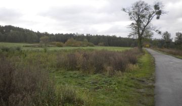 Działka rolna Kotuń, ul. Pilska