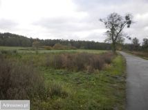 Działka rolna Kotuń, ul. Pilska