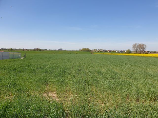 Działka budowlana Woźniaków, Cegielniana. Zdjęcie 1