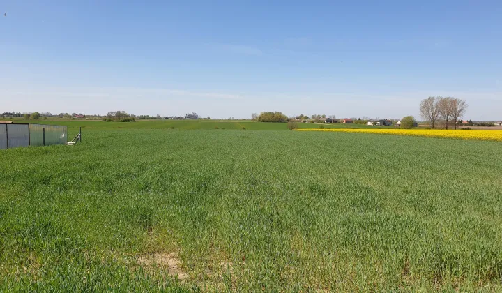 Działka budowlana Woźniaków, Cegielniana