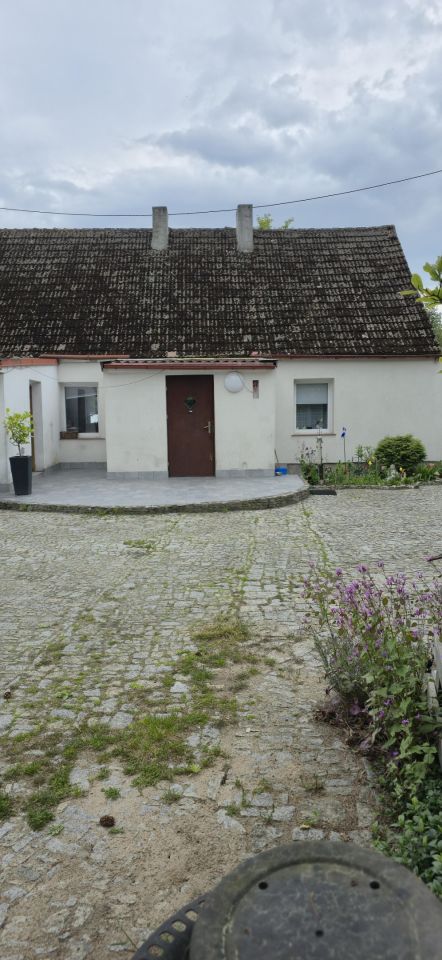 dom wolnostojący, 3 pokoje Świniary Świniarki. Zdjęcie 2