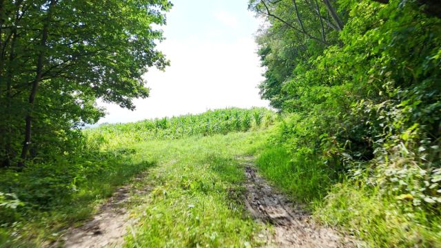 Działka budowlana Grajów. Zdjęcie 8