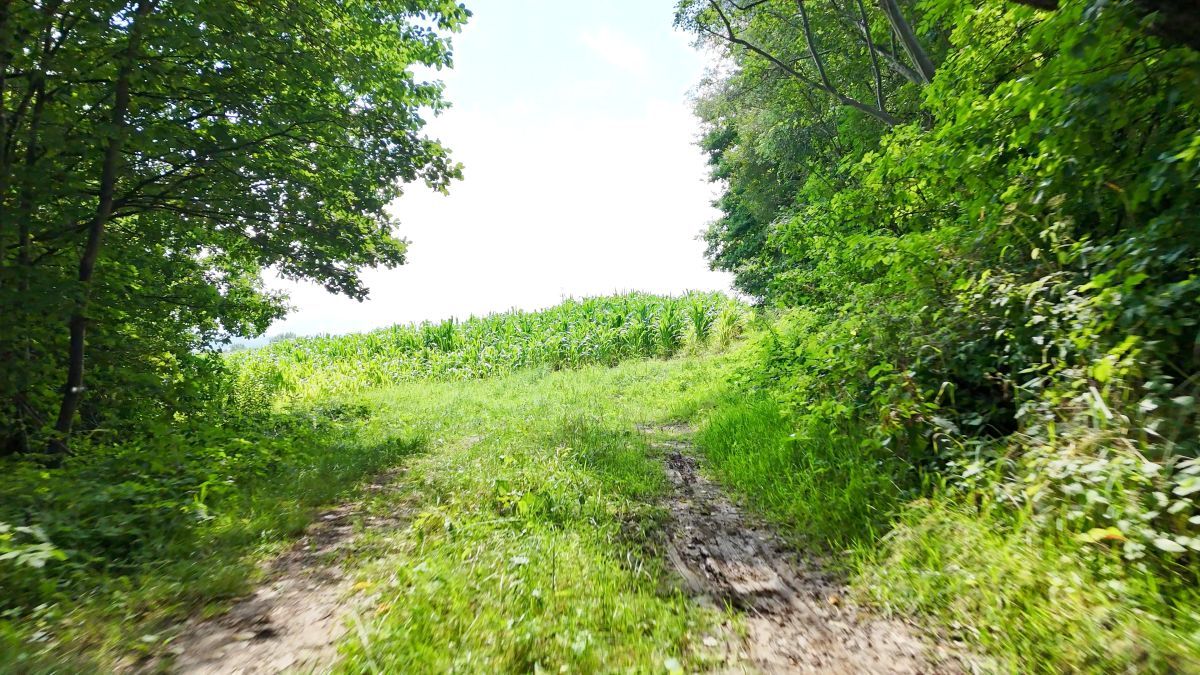 Działka budowlana Grajów. Zdjęcie 8