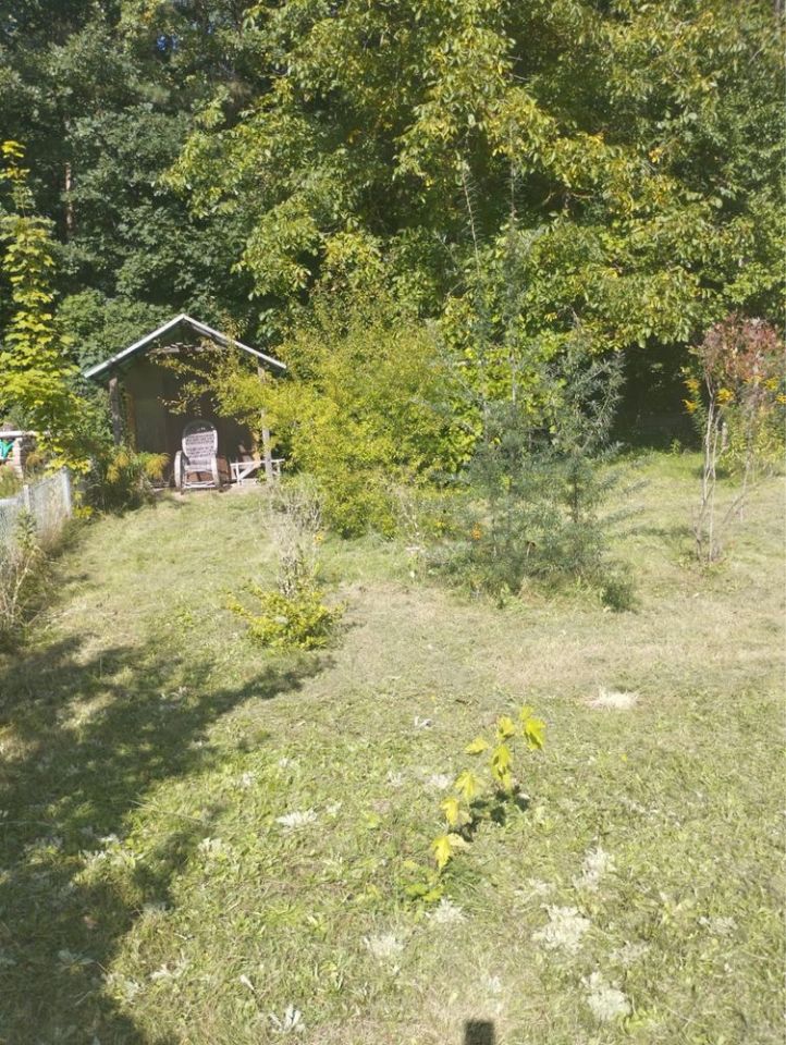Działka rod Gdańsk Owczarnia. Zdjęcie 3