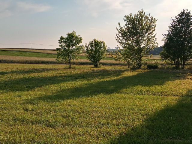 Działka siedliskowa Jasień. Zdjęcie 1