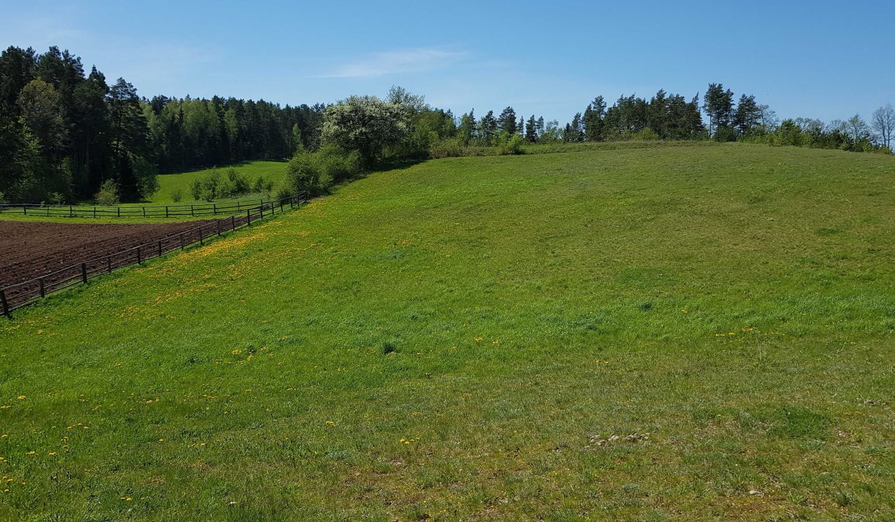 Działka budowlana Oracze. Zdjęcie 8