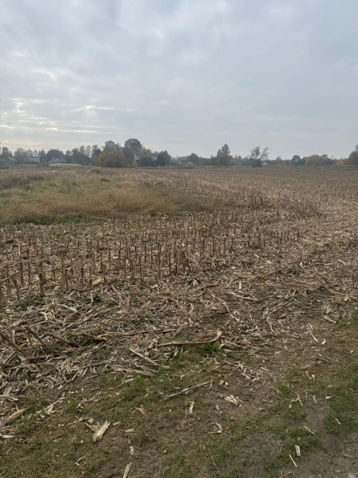 Działka budowlana Poręba Wielka, ul. Zachodnia. Zdjęcie 2