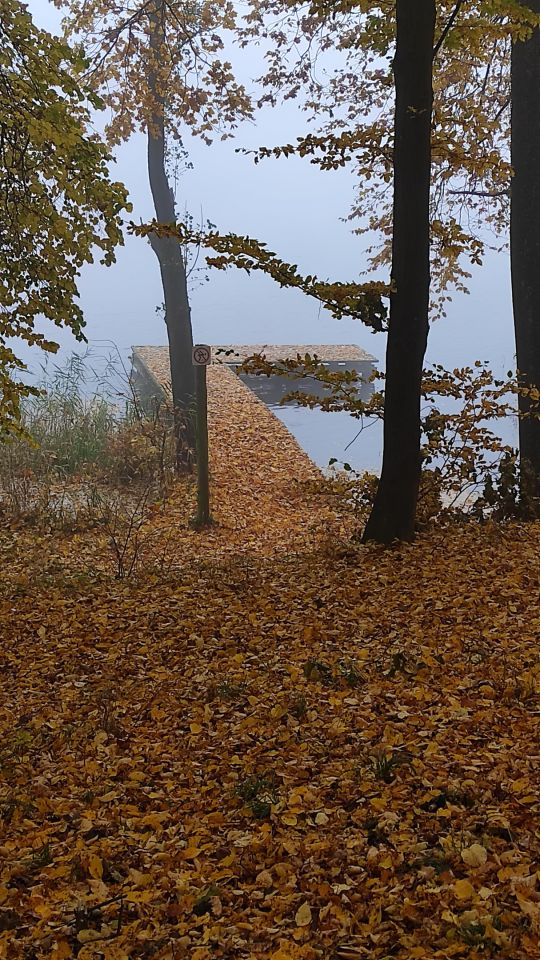 Działka rekreacyjna Radzynek. Zdjęcie 30
