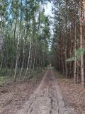 Działka budowlana Dąbrówka. Zdjęcie 4