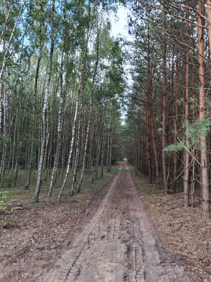 Działka budowlana Dąbrówka. Zdjęcie 5