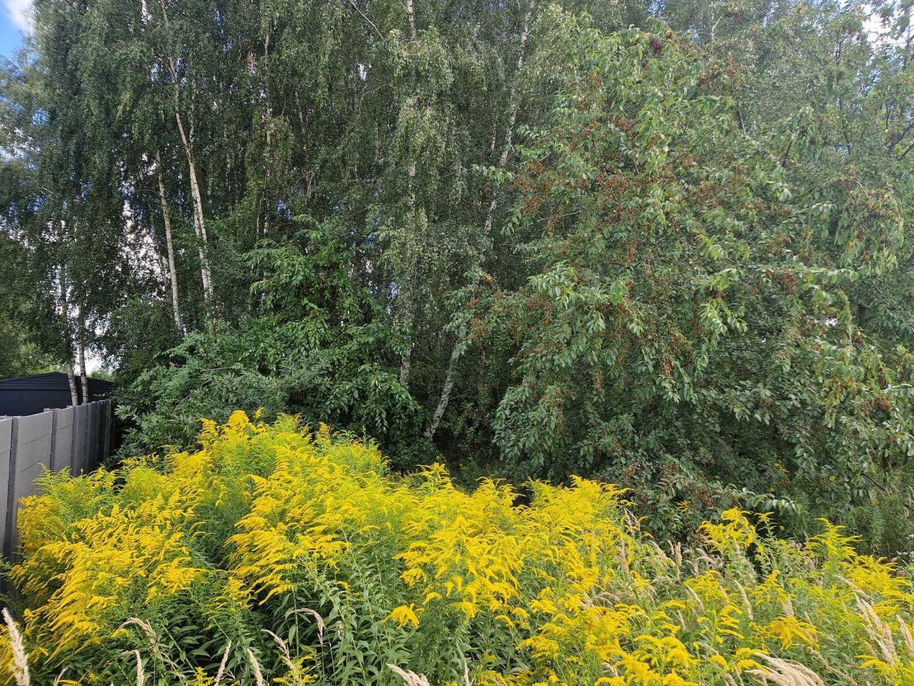 Działka budowlana Jasin, ul. Mieszka. Zdjęcie 3