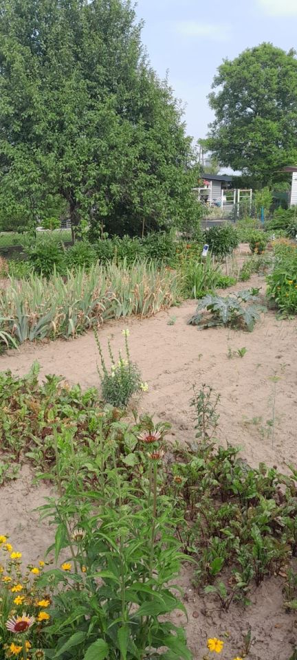 Działka rod Nysa, ul. Jagiellońska. Zdjęcie 4