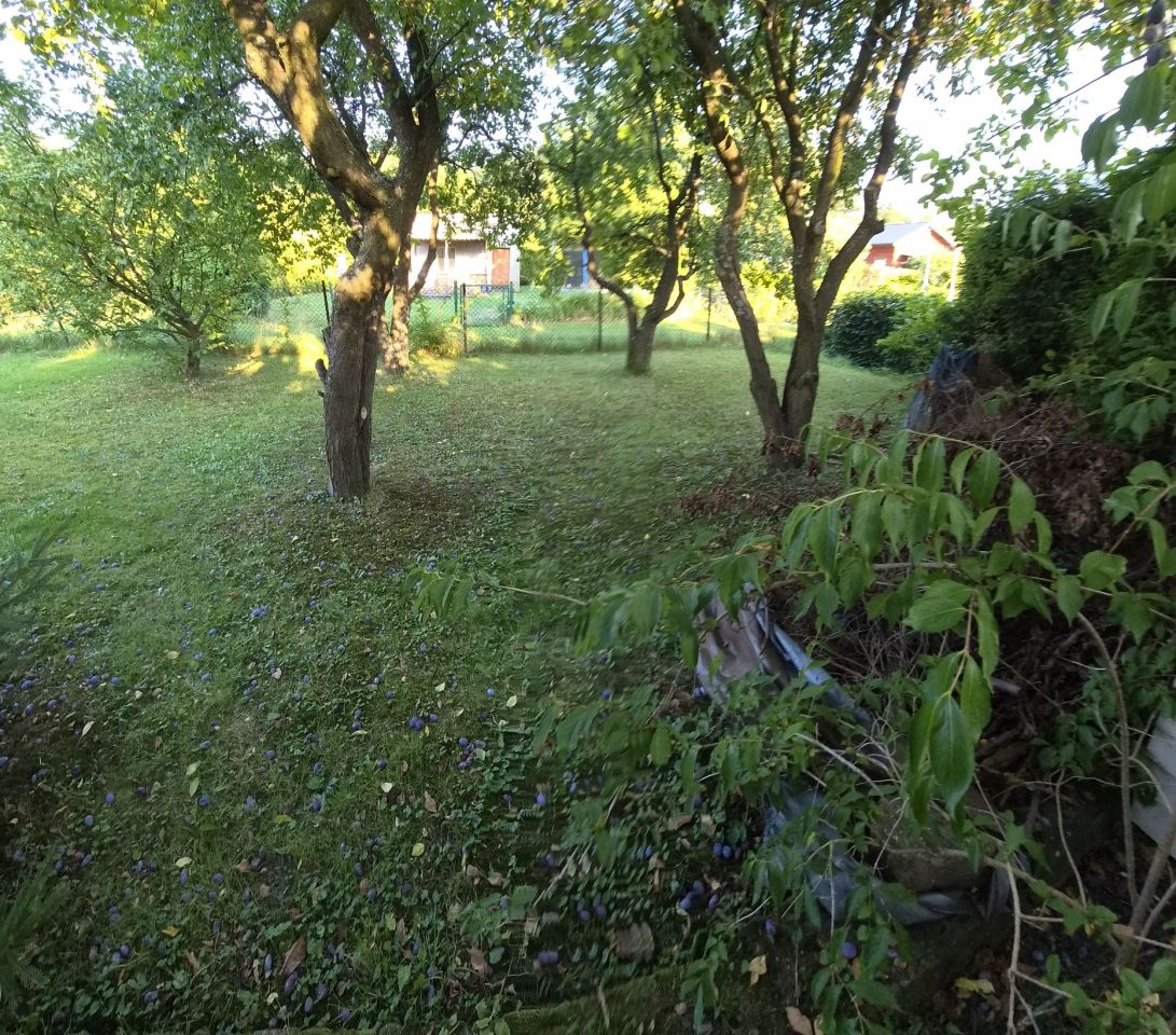 Działka rod Łaziska Górne Brada. Zdjęcie 6