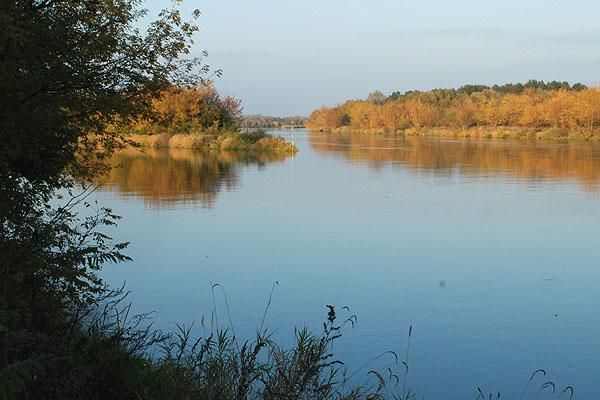 dom wolnostojący, 6 pokoi Gulczewo Podrybnie, ul. Jodłowa / Modra. Zdjęcie 9