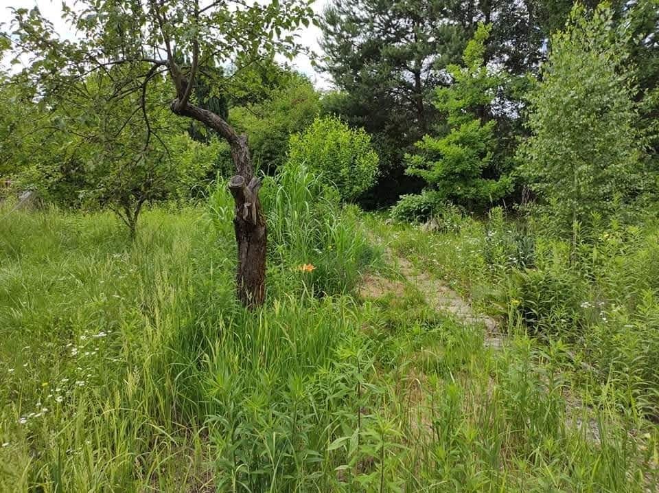 Działka rekreacyjna Sosnowiec Pogoń