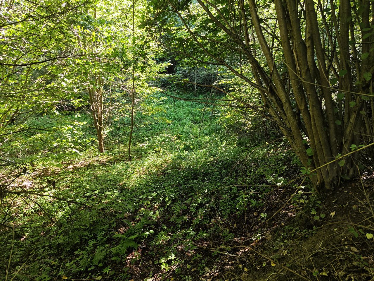 Działka rolno-budowlana Święcany. Zdjęcie 26