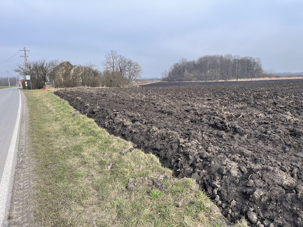 Działka budowlana Wierzbice. Zdjęcie 4