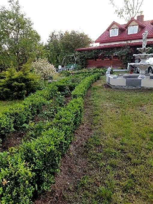 gospodarstwo Jankowo. Zdjęcie 5