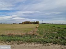 Działka inwestycyjna Rębowo. Zdjęcie 4