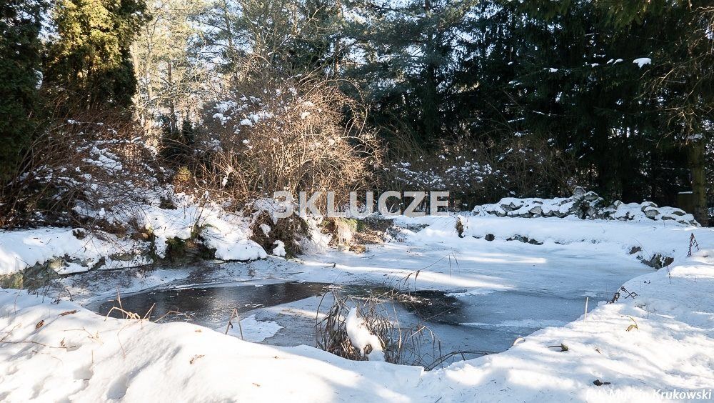 dom wolnostojący, 4 pokoje Nasiłów. Zdjęcie 32