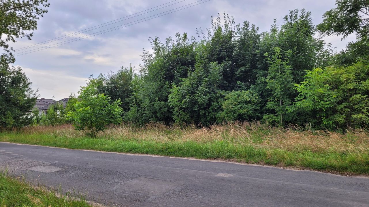 Działka budowlana Łekno, ul. Komendanta A. Czarneckiego. Zdjęcie 5