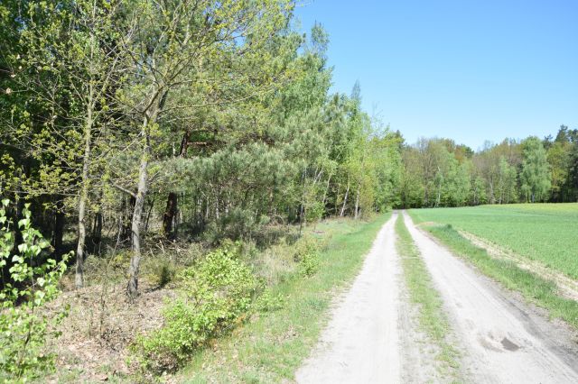 Działka budowlana Zawieprzyce-Kolonia. Zdjęcie 1