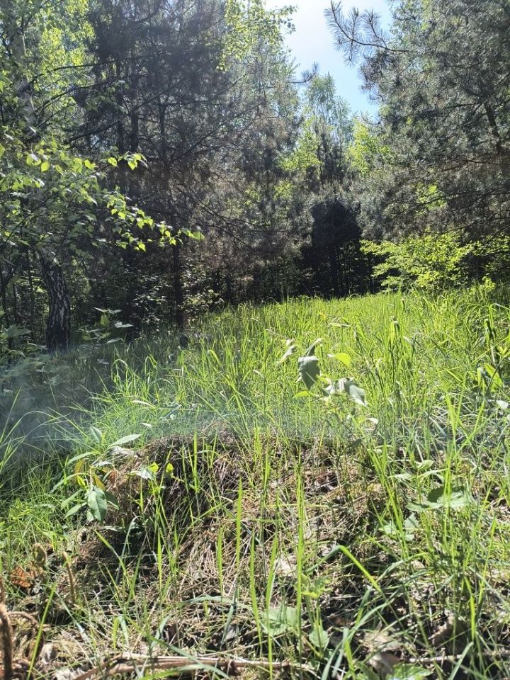 Działka rolna Klucze, ul. Rabsztyńska