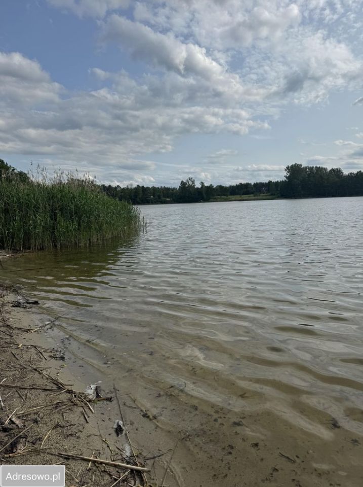 Działka budowlana Grabina. Zdjęcie 6