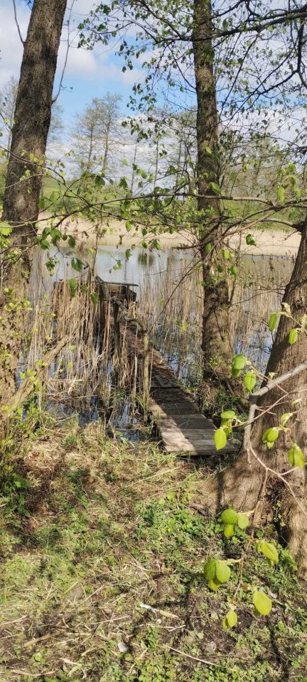 Działka rolno-budowlana Krzęcin. Zdjęcie 5