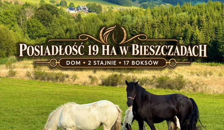 dom wolnostojący, 3 pokoje Ustrzyki Dolne, ul. Bieszczadzka