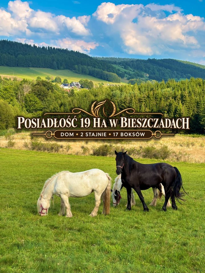dom wolnostojący, 3 pokoje Ustrzyki Dolne, ul. Bieszczadzka. Zdjęcie 1