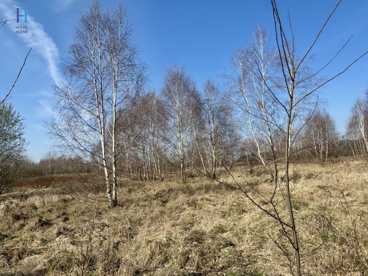 Działka inwestycyjna Nieborów, ul. Wschodnia. Zdjęcie 3