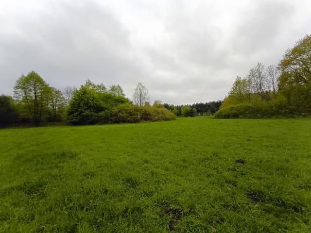 Działka rolna Smogorzewo Pańskie. Zdjęcie 8