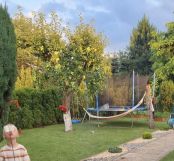 Działka rod Szczecin Gumieńce, ul. Przygodna. Zdjęcie 3