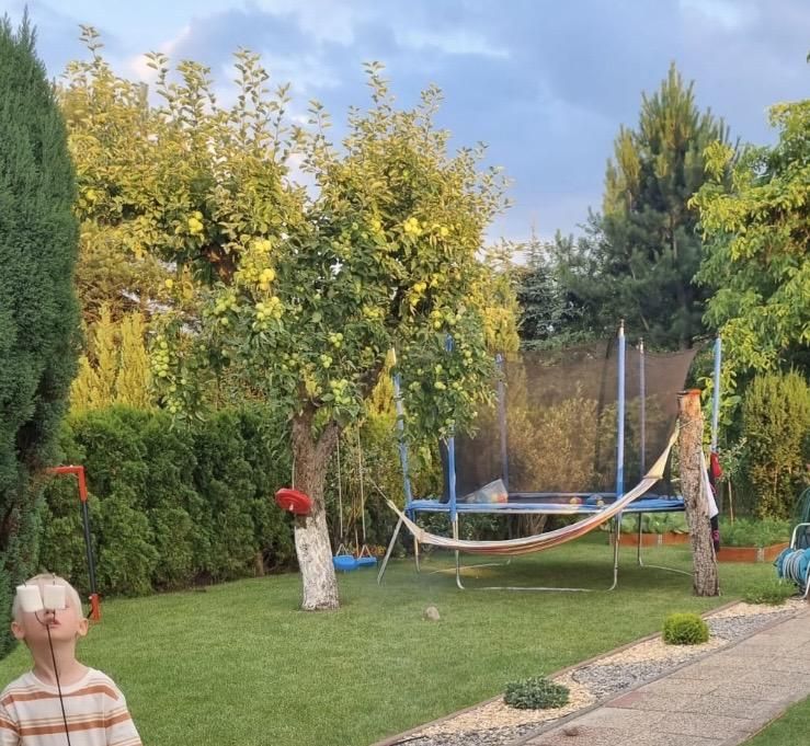 Działka rod Szczecin Gumieńce, ul. Przygodna. Zdjęcie 4