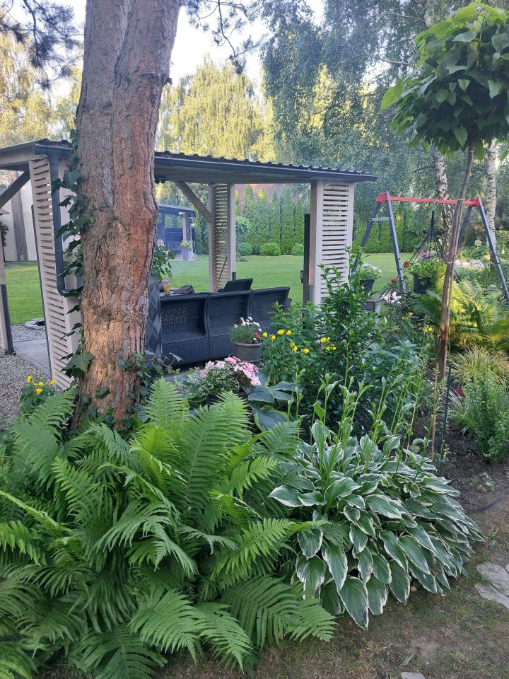 Działka rod Zdzieszowice. Zdjęcie 7