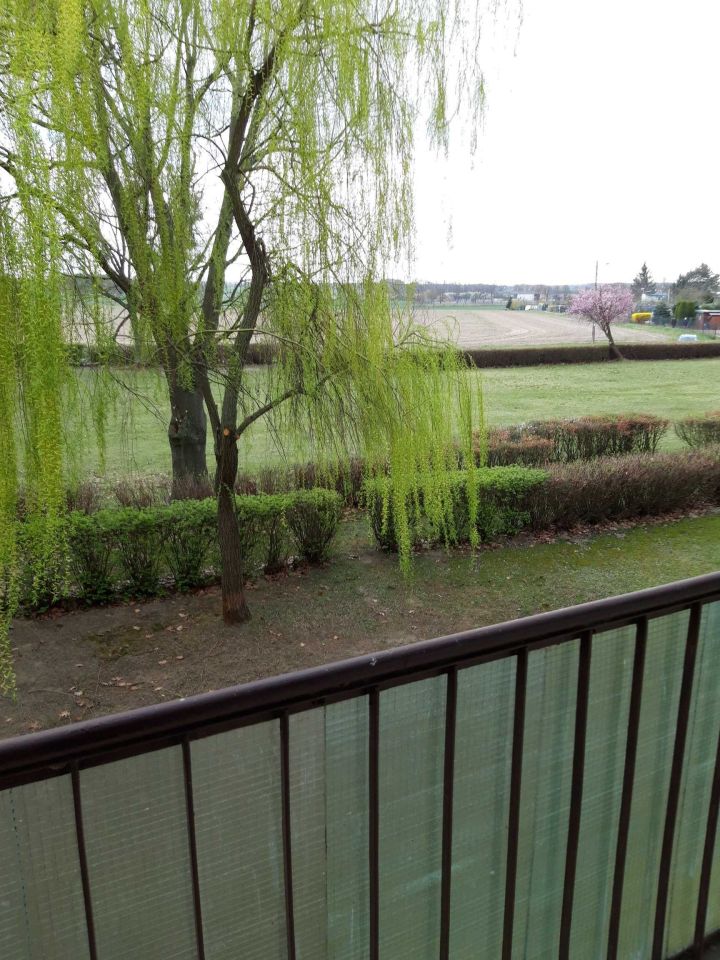 Mieszkanie 3-pokojowe Nochowo. Zdjęcie 6