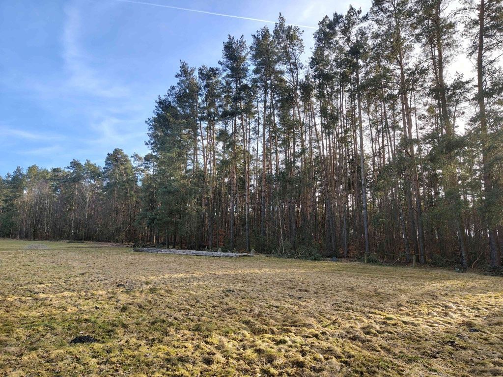 Działka budowlana Biadaszka Zwierzyniec. Zdjęcie 7