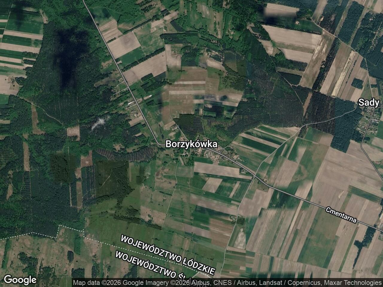 Działka rolna Borzykówka. Zdjęcie 1