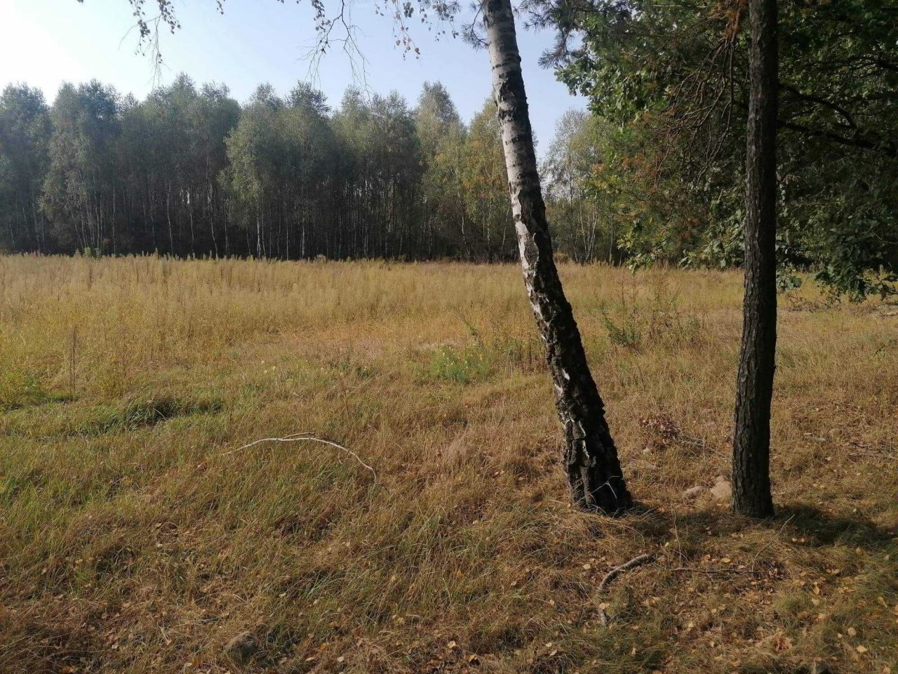 Działka rolno-budowlana Józefowo. Zdjęcie 3