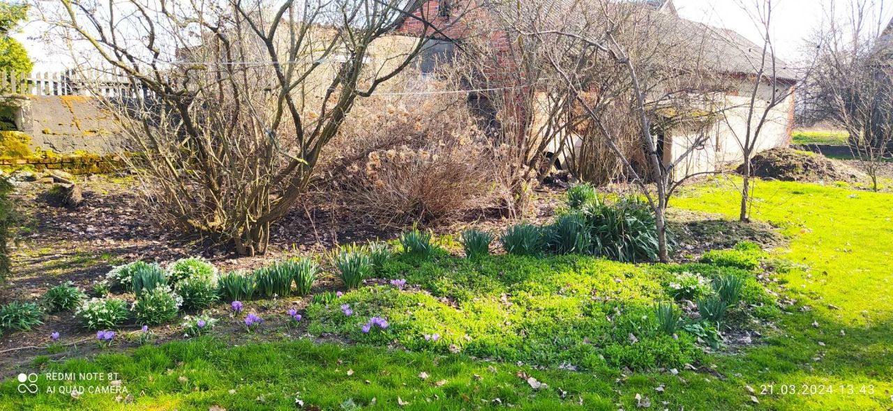 Działka siedliskowa Tuchanie. Zdjęcie 3