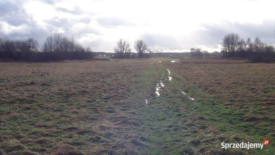 Działka inwestycyjna Goleniów, ul. Nowogardzka. Zdjęcie 6