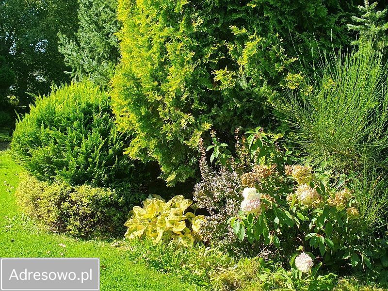 Nieruchomość komercyjna Biestrzynnik. Zdjęcie 8