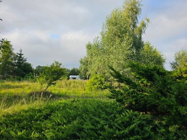 Działka budowlana Oświno. Zdjęcie 12