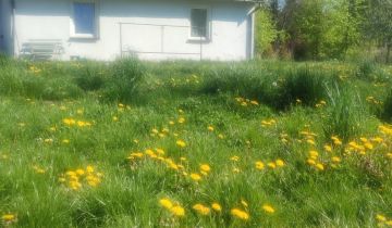 dom wolnostojący Osiny